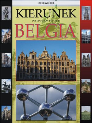 cover image of Kierunek Belgia